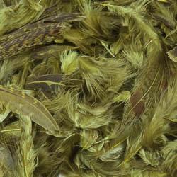 Partridge Feathers