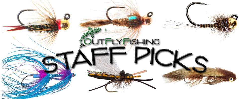 Staff Fly Picks