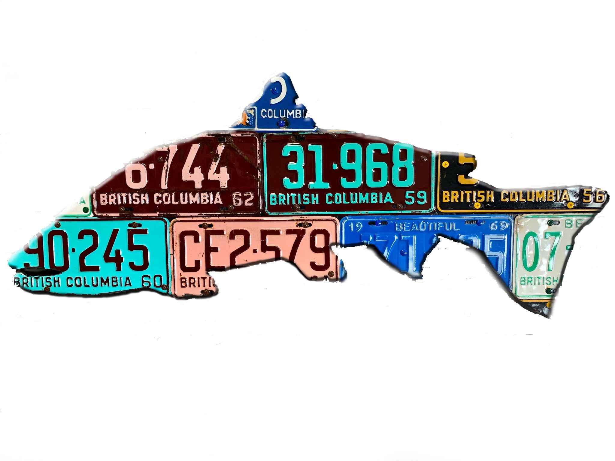 Cody's British Columbia License Plate Steelhead