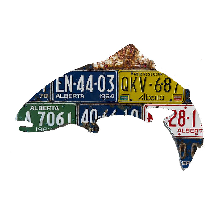 Cody's Alberta License Plate Trout