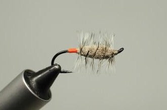 Bug (all colors)