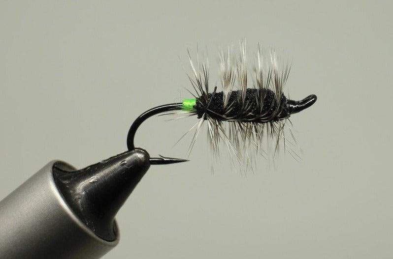 Bug (all colors)
