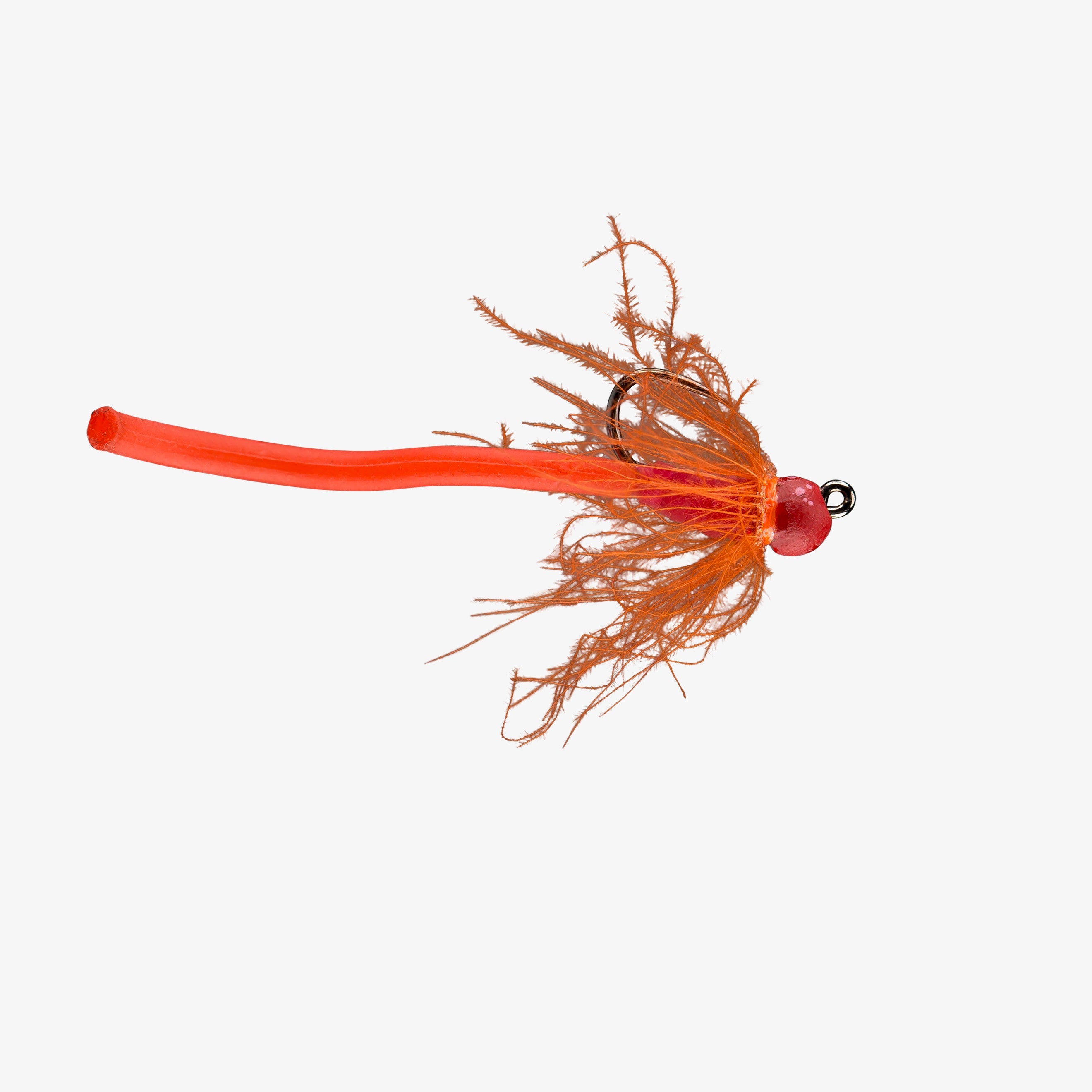 Rio's Worm Farm