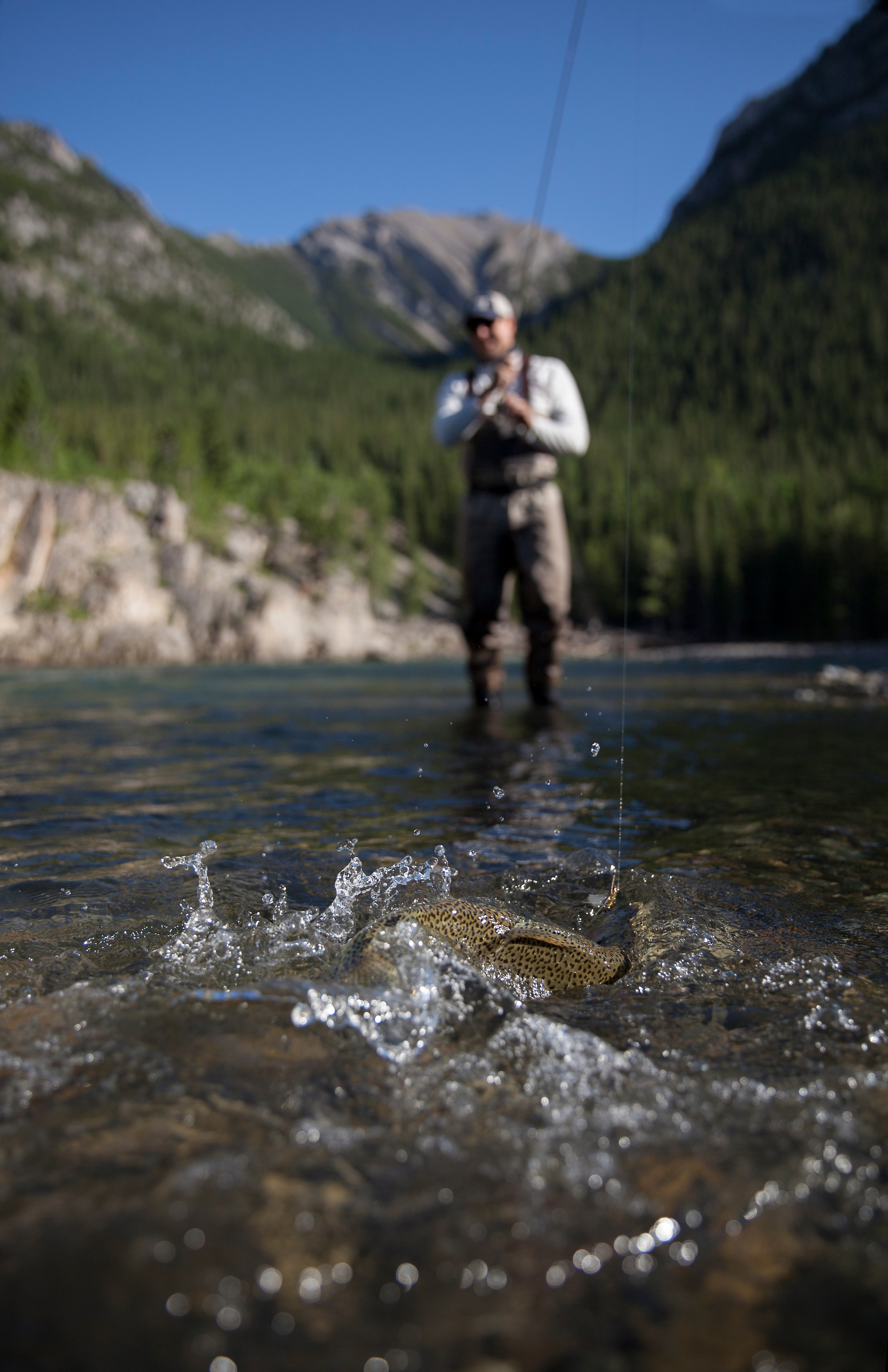 Orvis Store Hosted Trip:  5 Nights 4 Days