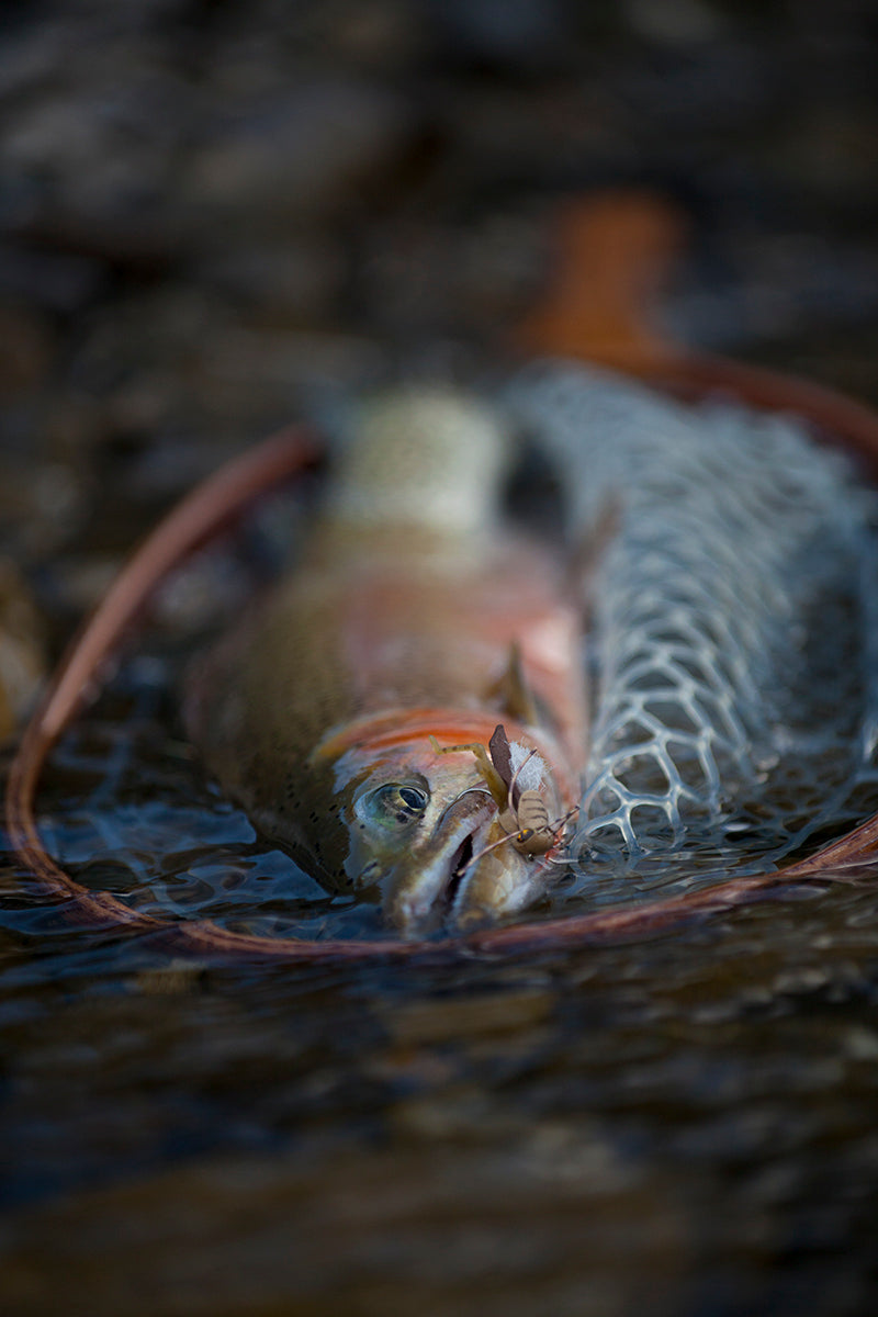 Orvis Store Hosted Trip:  5 Nights 4 Days