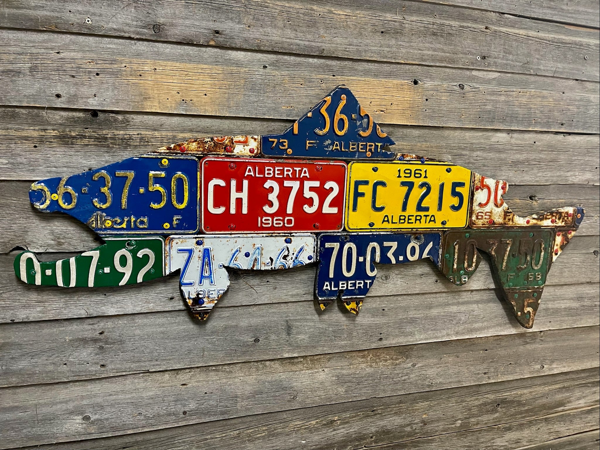 Cody's Alberta License Plate Brown Trout