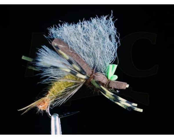 Saliga's Low-rider (all colors)