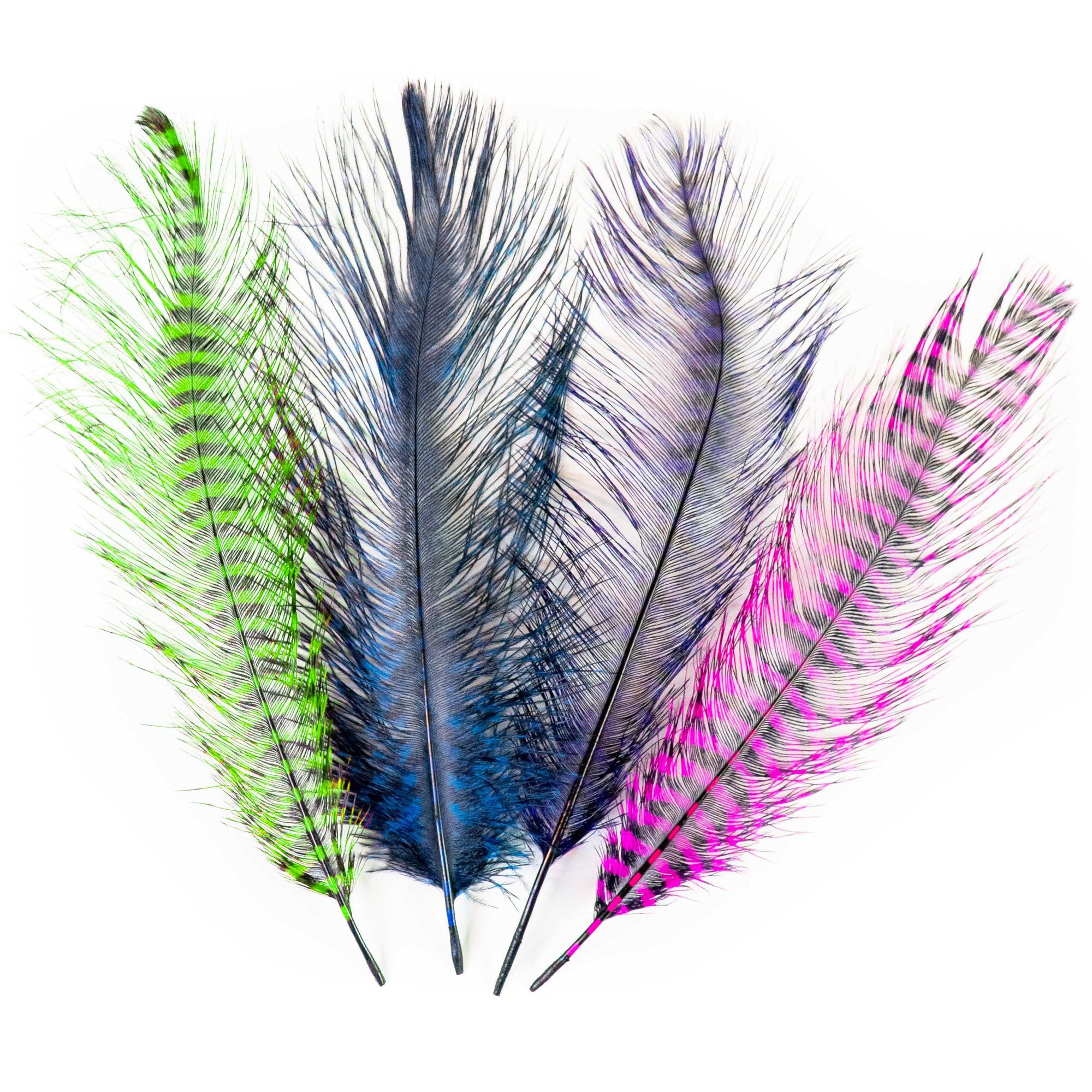 MFC Barred Ostrich Plume