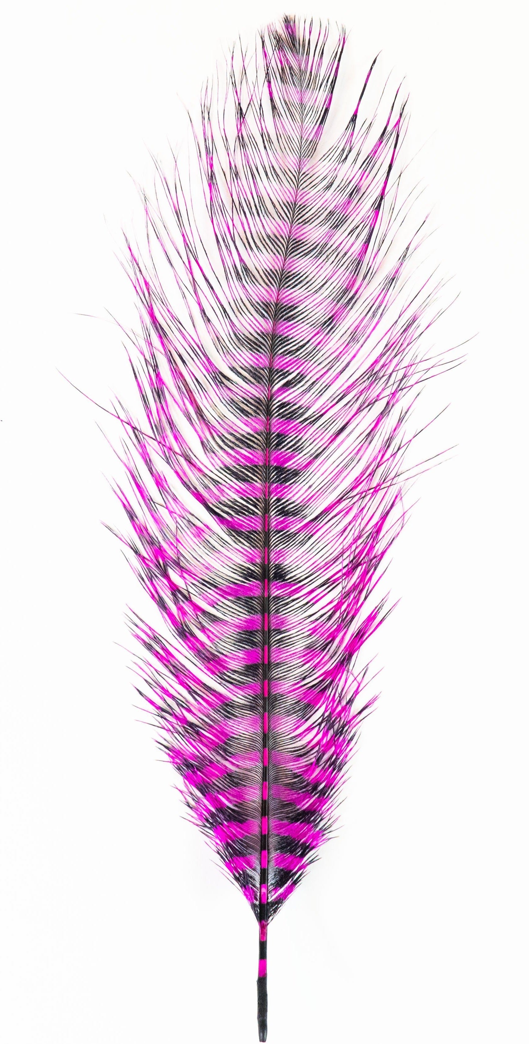 MFC Barred Ostrich Plume