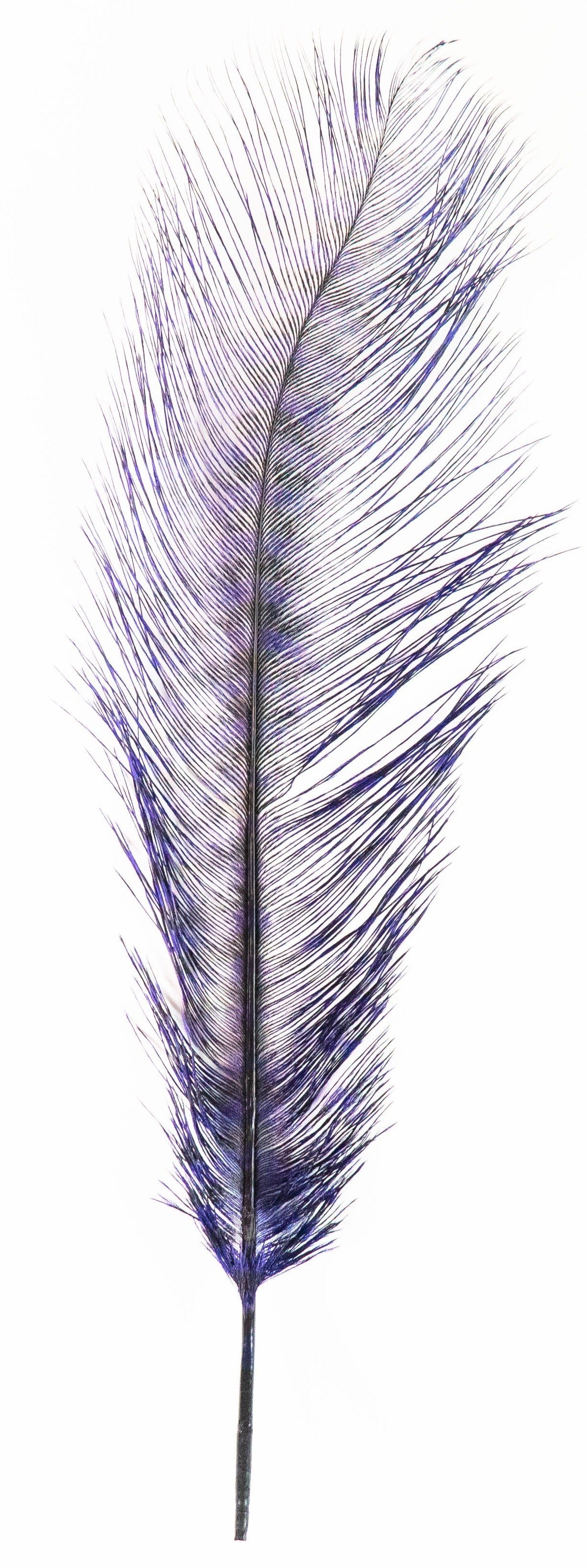 MFC Barred Ostrich Plume