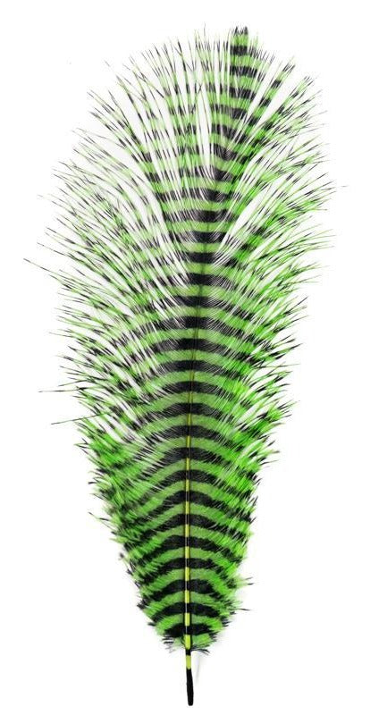 MFC Barred Ostrich Plume