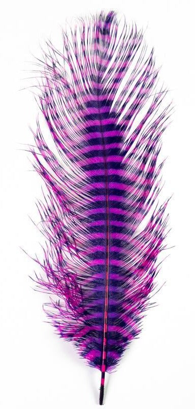 MFC Barred Ostrich Plume