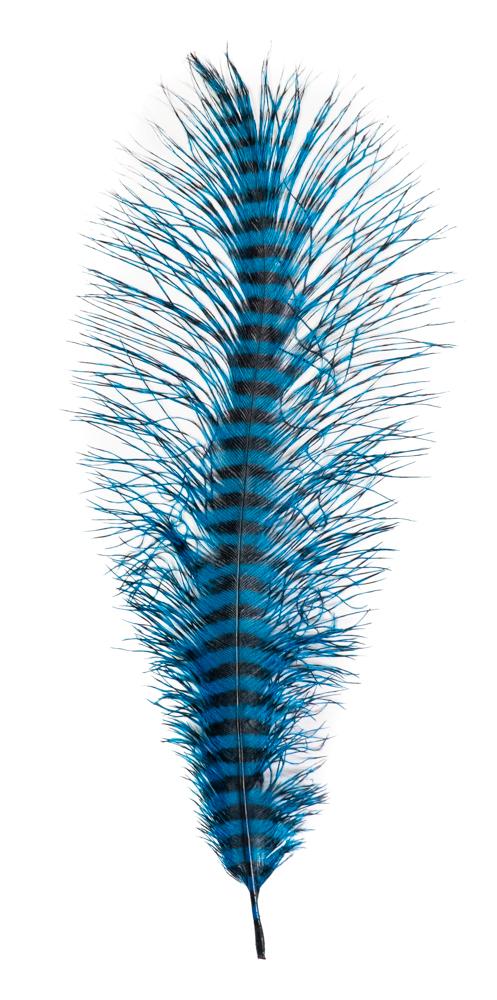 MFC Barred Ostrich Plume