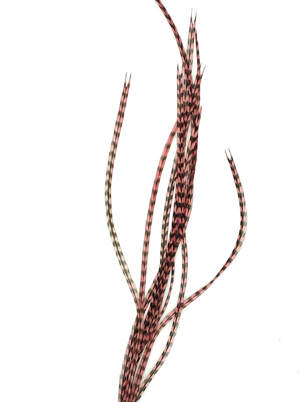 Metz #1 Dyed Grizzly Saddle Hackle Packs