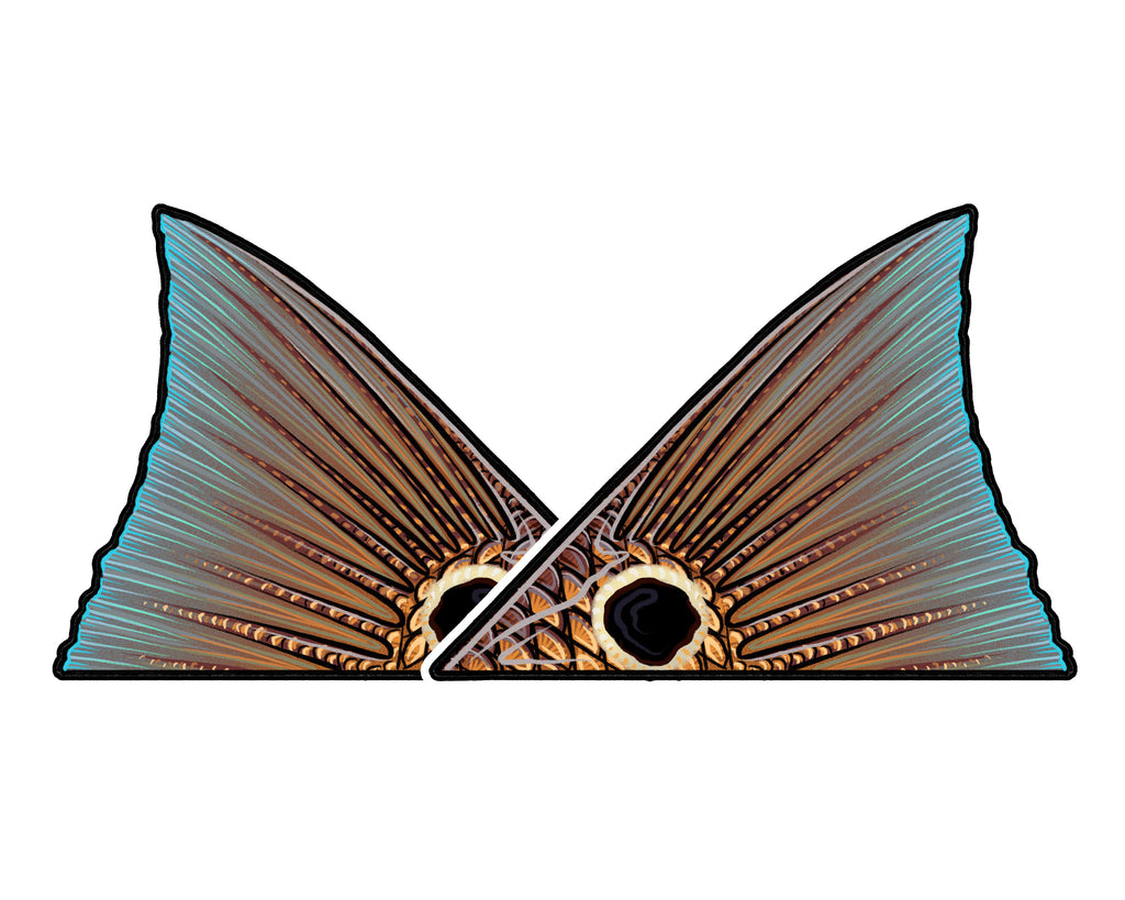 Casey Underwood Redfish Tail Decal