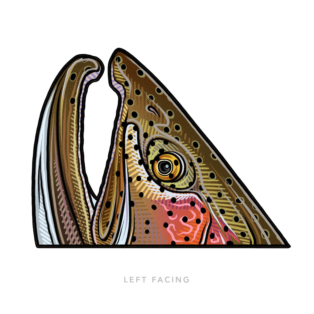 Casey Underwood Rainbow Rise Decal