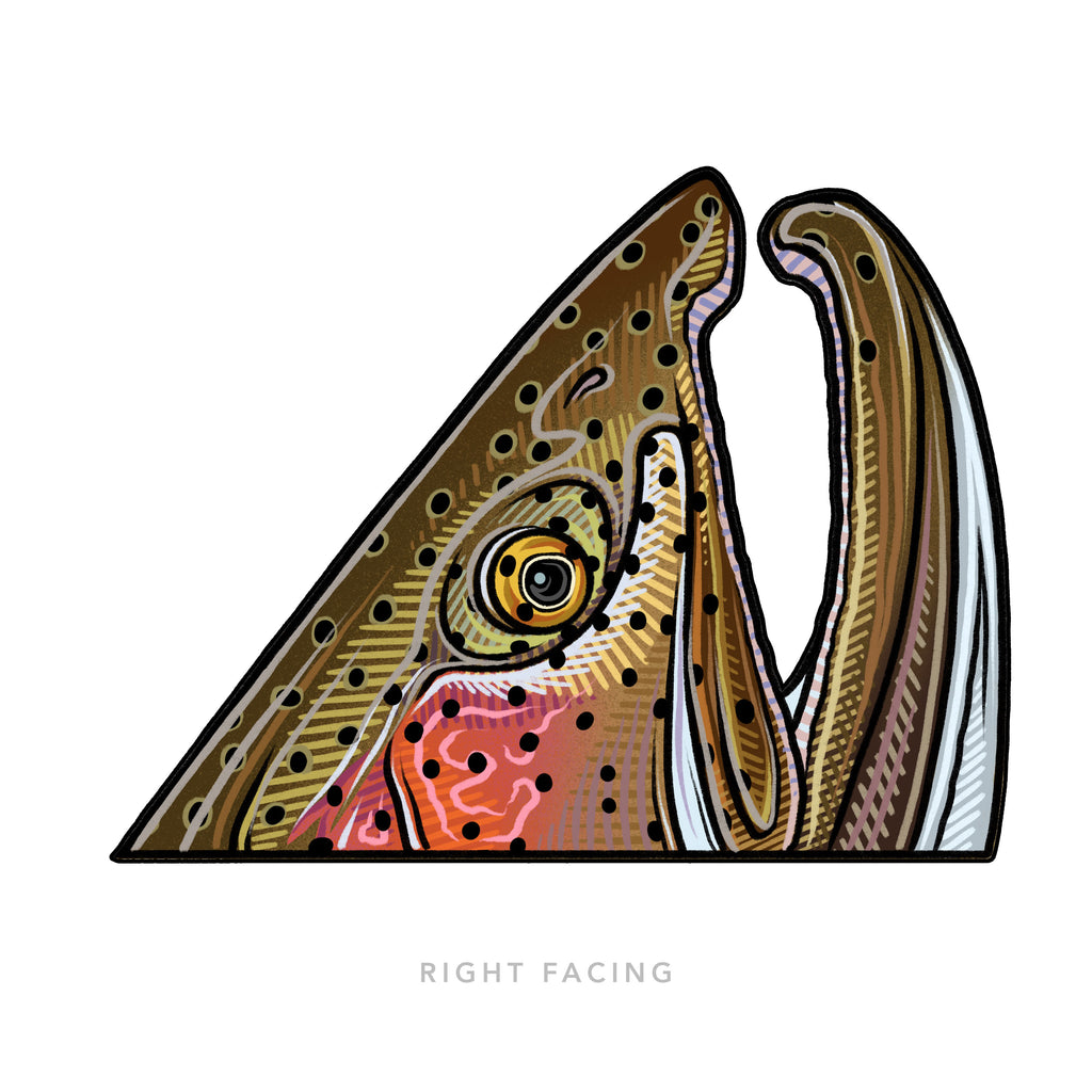Casey Underwood Rainbow Rise Decal