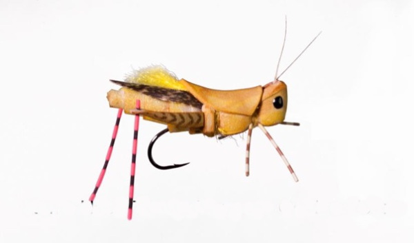 Kurt's Head Turning Hopper (all colors)