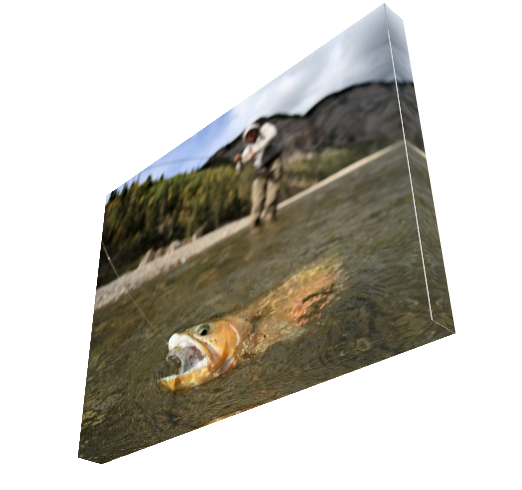 Canvas Prints Portrait