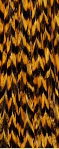 Whiting Farms 100 Pack Saddle Hackle