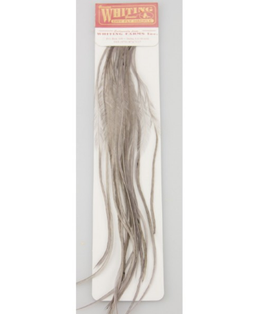 Whiting Farms 100 Pack Saddle Hackle