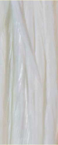 Whiting Farms 100 Pack Saddle Hackle