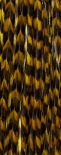 Whiting Farms 100 Pack Saddle Hackle