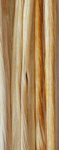 Whiting Farms 100 Pack Saddle Hackle