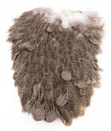 Whiting Brahma Hen Saddle