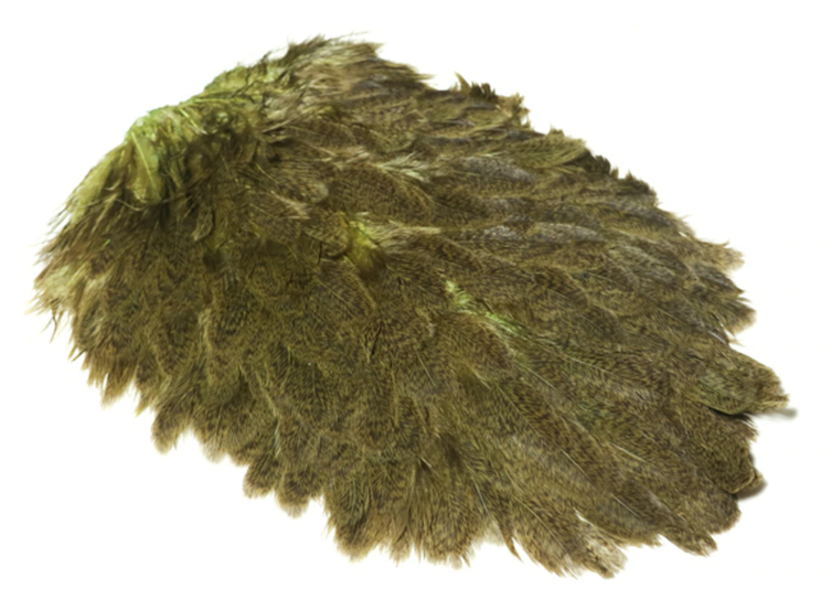 Whiting Brahma Hen Saddle