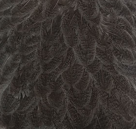 Whiting Brahma Hen Saddle