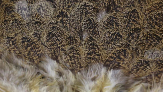 Whiting Brahma Hen Saddle