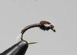 Frostbite Chironomid Pupa B.C.