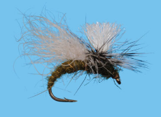 Snow Shoe Caddis