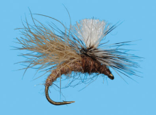 Snow Shoe Caddis