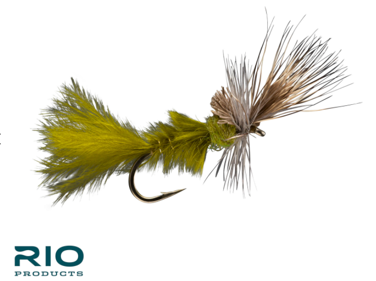 Rio's Marabou Cripple