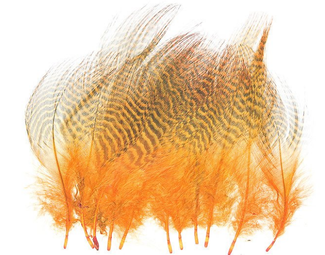 Wapsi Teal Barred Flank