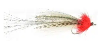 Flashtail Whistler (all colors)