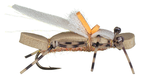 Water Walker Stonefly