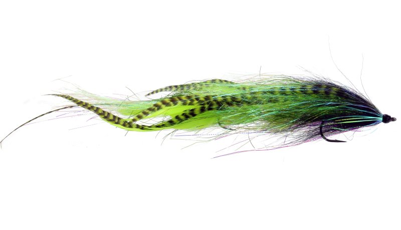 Catch Flies - Skerik's Apex Predator: All Colours