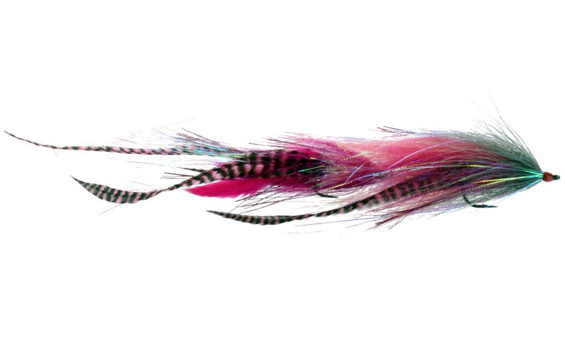 Catch Flies - Skerik's Apex Predator: All Colours