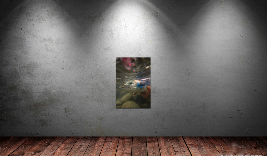 Canvas Prints Portrait