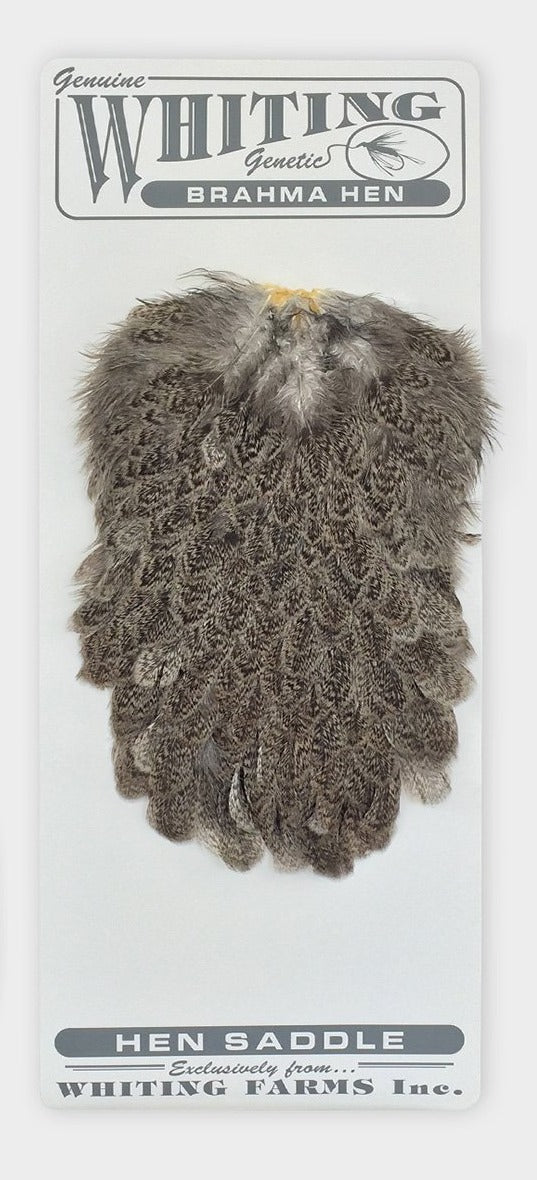 Whiting Brahma Hen Saddle