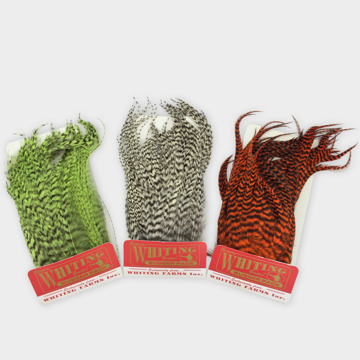 Whiting Farms Bugger Pack