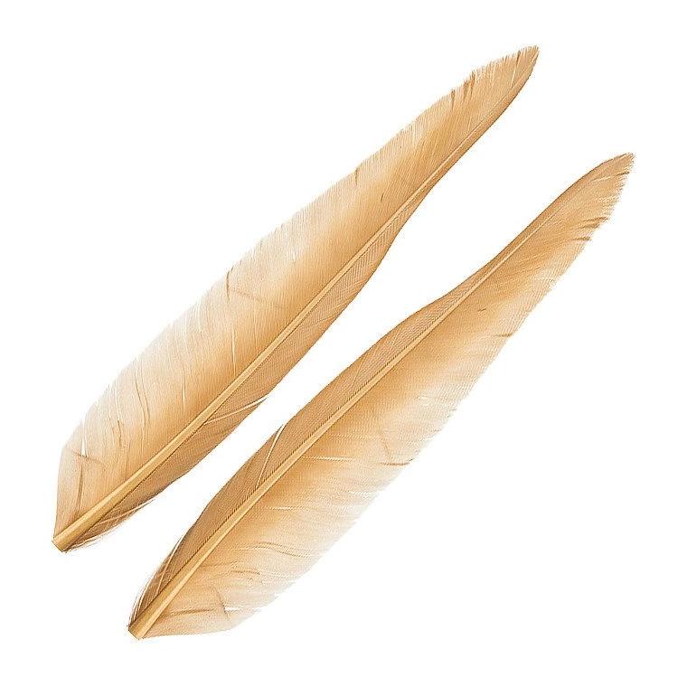Wapsi Duck Quills