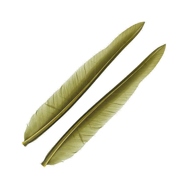 Wapsi Duck Quills