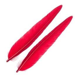Wapsi Duck Quills