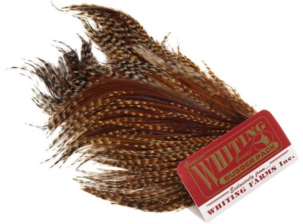 Whiting Farms Bugger Pack