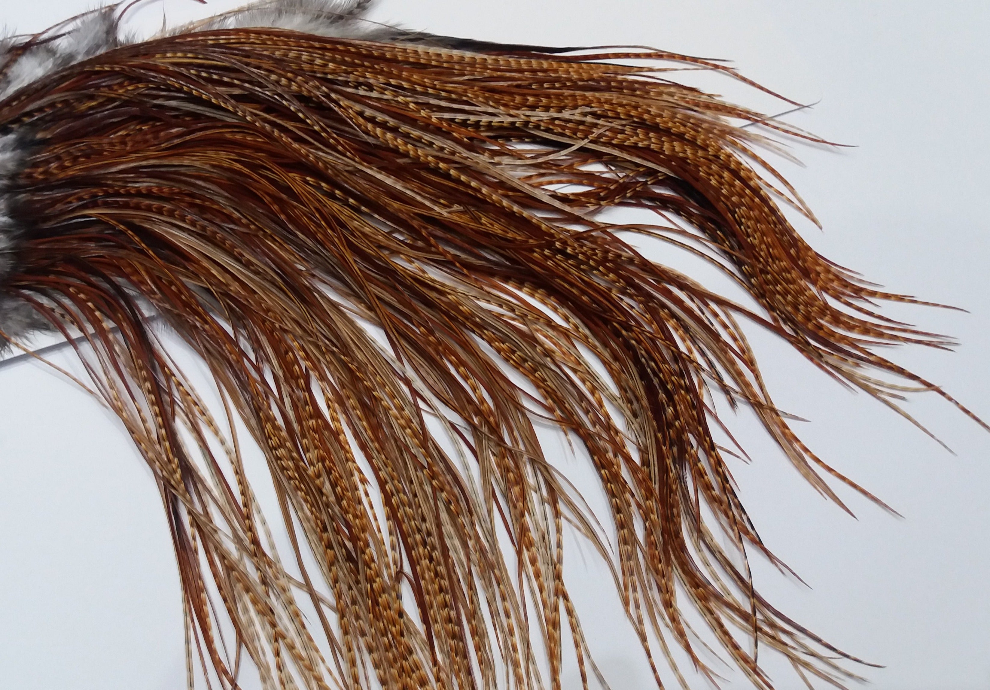 Whiting Farms Full Rooster Saddles