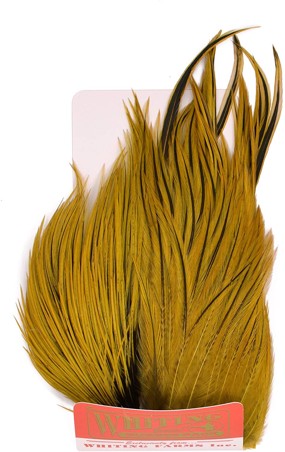 Whiting Farms Bugger Pack